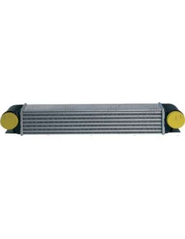 Radiador de aire de admisión Frig Air 0702.3005 - INT. BMW SERIES 5 E39 530 DIEDERICHS Climate