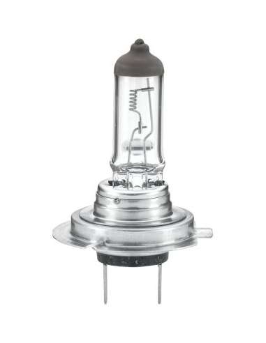 Lámpara, faro antiniebla Hella 8GH 007 157-241 -  EXTINGUIDA  082035 LAMPARA H-7 24V.-70W 8 Sportlight