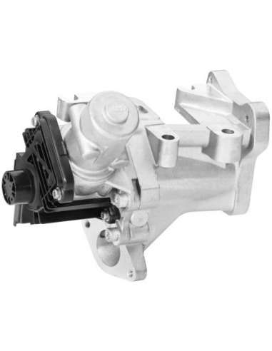 Válvula AGR Hella 6NU 010 171-231 - VALVULA EGR FIAT