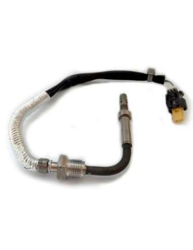 Sensor, temp. gas escape Meat Doria 12264 - SENSOR DE TEMPERATURA DEL GAS DE ES CAPE