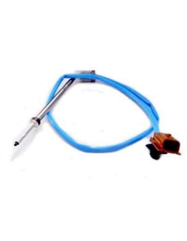 Sensor, temp. gas escape Meat Doria 12291 - SENSOR DE TEMPERATURA DEL GAS DE ES CAPE