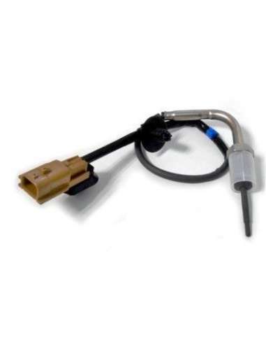 Sensor, temp. gas escape Meat Doria 12294 - SENSOR DE TEMPERATURA DEL GAS DE ES CAPE