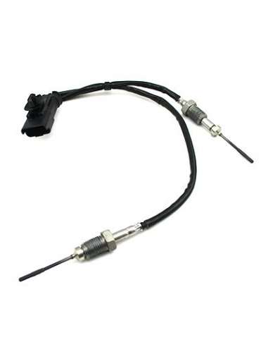 Sensor, temp. gas escape Meat Doria 12448 - SENSOR DE TEMPERATURA DEL GAS DE ES CAPE