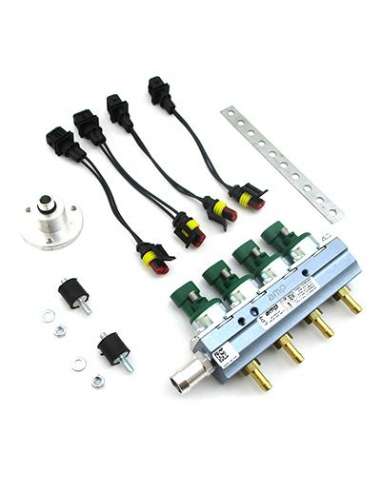 Válvula de inyección Meat Doria 13061 - RAIL COMPLETO SISTEMA LPG VERDE EUR O 4