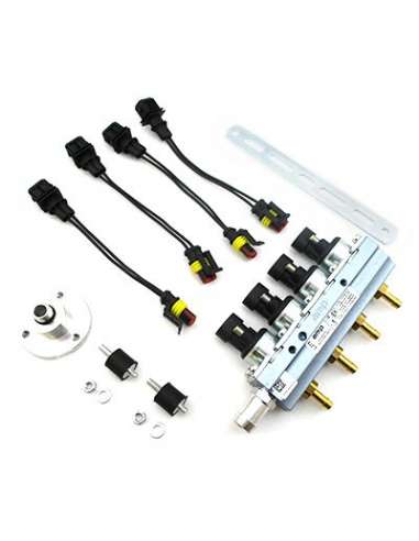 Válvula de inyección Meat Doria 13063 - RAIL COMPLETO SISTEMA LPG NEGRO EUR O 4
