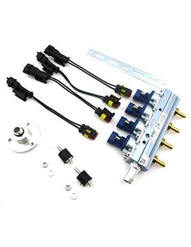 Válvula de inyección Meat Doria 13068 - RAIL COMPLETO SISTEMA LPG AZUL EURO 5