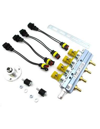 Válvula de inyección Meat Doria 13069 - RAIL COMPLETO SISTEMA LPG AMARILLO EURO 4