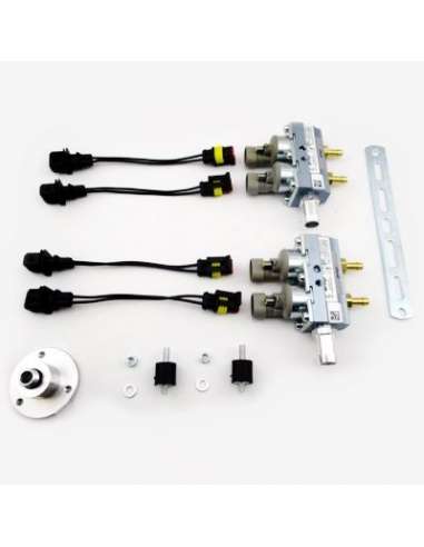 Válvula de inyección Meat Doria 13078 - RAIL COMPLETO SISTEMA LPG AMP GRIS 2+2 CIL. EURO 4