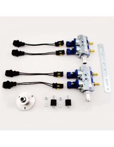 Válvula de inyección Meat Doria 13080 - RAIL COMPLETO SISTEMA LPG AMP AZUL 2+2 CIL. EURO 4