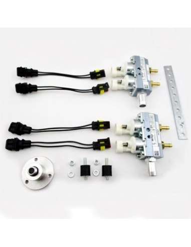 Válvula de inyección Meat Doria 13081 - RAIL COMPLETO SISTEMA LPG AMP BLANC O 2+2 CIL. EURO 4