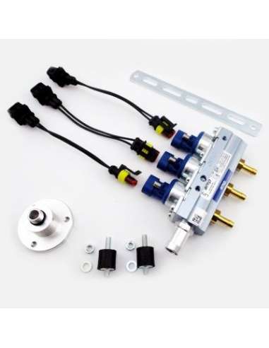 Válvula de inyección Meat Doria 13085 - RAIL COMPLETO SISTEMA LPG AMP AZUL 3 CIL. EURO 4