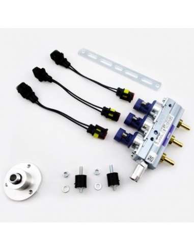 Válvula de inyección Meat Doria 13086 - RAIL COMPLETO SISTEMA LPG AMP VIOLE TA 3 CIL. EURO 4