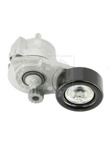 Tensor de correa, correa poli V Nps D110O02 - D110O02 NPS TENSORDEACCESSORIOS MEYLE-ORIGINAL Quality