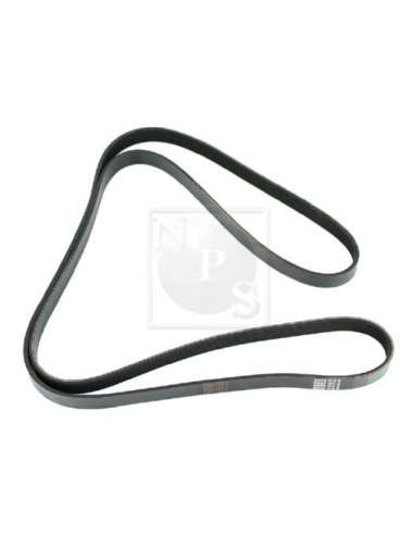 Correa trapecial poli V Nps D111O14 - D111O14 CORREA DE VENTILADOR
