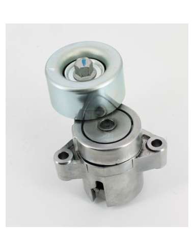 Tensor de correa, correa poli V Nps M110A04 - M110A04 NPS TENSORDEACCESSORIOS MEYLE-ORIGINAL Quality