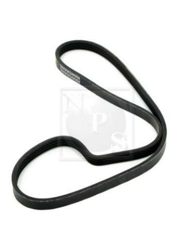 Correa trapecial poli V Nps N111N10 - N111N10 NPS CORREADEVENTILADOR