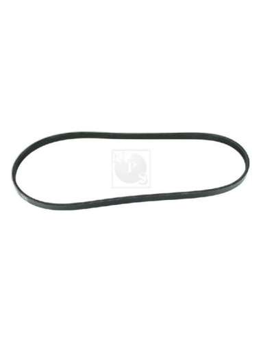 Correa trapecial poli V Nps N111N25 - N111N25 CORREA DE VENTILADOR