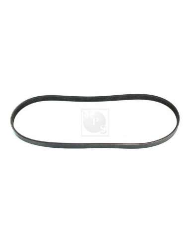 Correa trapecial poli V Nps N111N36 - N111N36 CORREA DE VENTILADOR