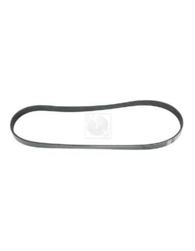Correa trapecial poli V Nps N111N57 - N111N57 CORREA DE VENTILADOR