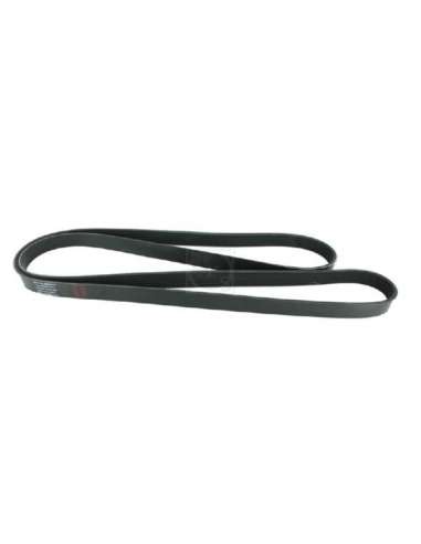 Correa trapecial poli V Nps N111N62 - N111N62 CORREA DE VENTILADOR