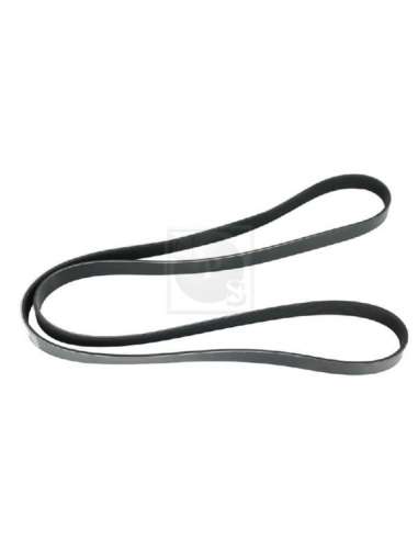 Correa trapecial poli V Nps N111N66 - N111N66 CORREA DE VENTILADOR