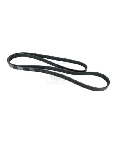 Correa trapecial poli V Nps N111N67 - N111N67 CORREA DE VENTILADOR