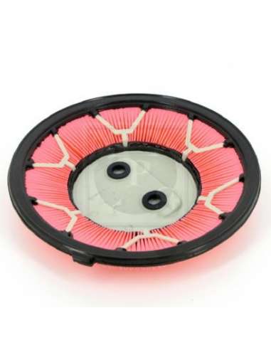 Filtro de aire Nps N132N22 - N132N22 FILTRO DE AIRE