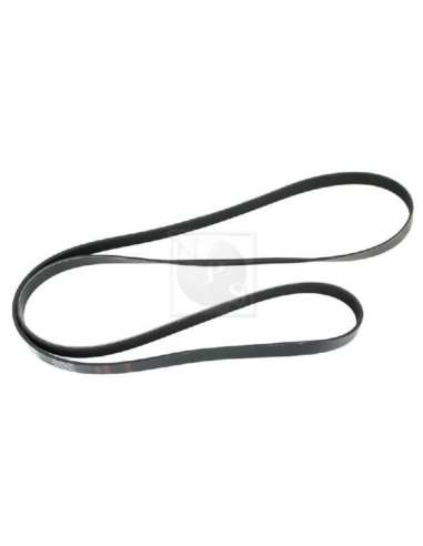 Correa trapecial poli V Nps S111G05 - S111G05 CORREA DE VENTILADOR