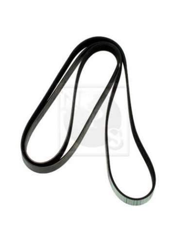 Correa trapecial poli V Nps S111G06 - S111G06 CORREA DE VENTILADOR