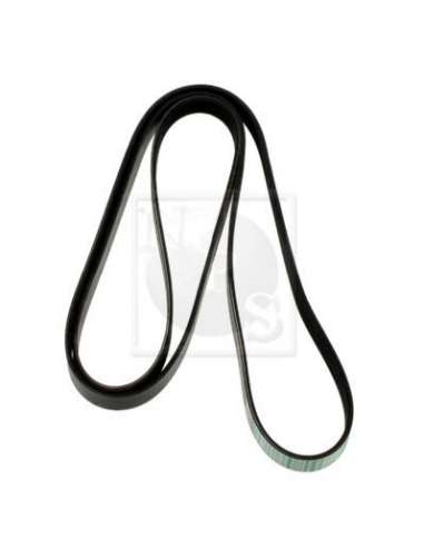 Correa trapecial poli V Nps S111G07 - S111G07 CORREA DE VENTILADOR