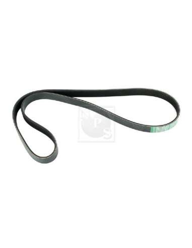 Correa trapecial poli V Nps S111I19 - S111I19 CORREA DE VENTILADOR