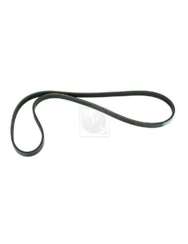 Correa trapecial poli V Nps S111I26 - S111I26 CORREA DE VENTILADOR