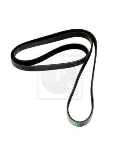 Correa trapecial poli V Nps S111I28 - S111I28 CORREA DE VENTILADOR