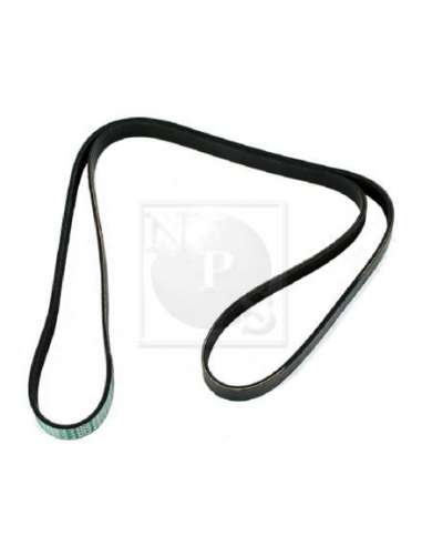 Correa trapecial poli V Nps S111I51 - S111I51 CORREA DE VENTILADOR