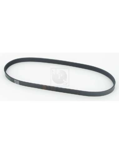 Correa trapecial poli V Nps T111A11 - T111A11 CORREA DE VENTILADOR