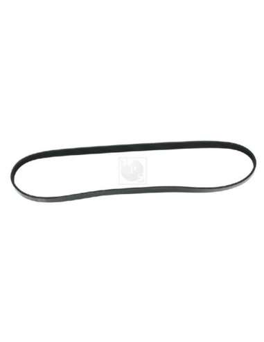 Correa trapecial poli V Nps T111A33 - T111A33 CORREA DE VENTILADOR