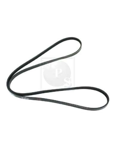 Correa trapecial poli V Nps T111A38 - T111A38 CORREA DE VENTILADOR