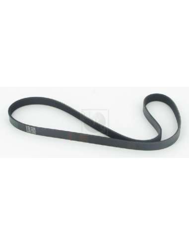 Correa trapecial poli V Nps T111A50 - T111A50 CORREA DE VENTILADOR