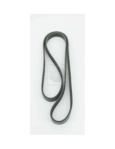 Correa trapecial poli V Nps T111A56 - T111A56 CORREA DE VENTILADOR