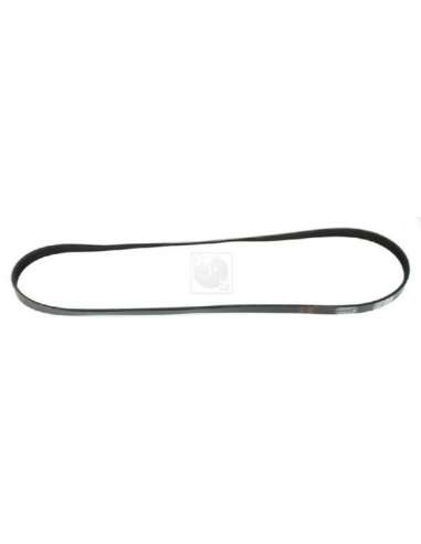 Correa trapecial poli V Nps T111A58 - T111A58 CORREA DE VENTILADOR