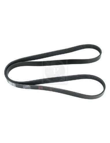 Correa trapecial poli V Nps T111A75 - T111A75 CORREA DE VENTILADOR