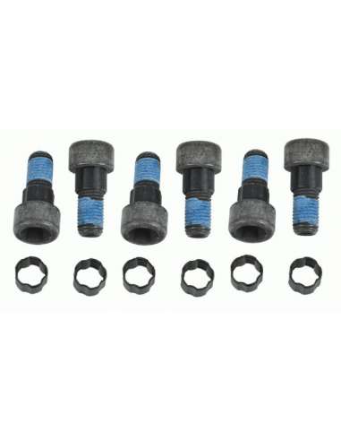 JKuego tornillos, volante Sachs 1874 000 052 - SACHS KIT TORNILLOS V. B