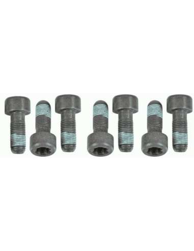 JKuego tornillos, volante Sachs 1874 000 054 - SACHS KIT TORNILLOS V. B