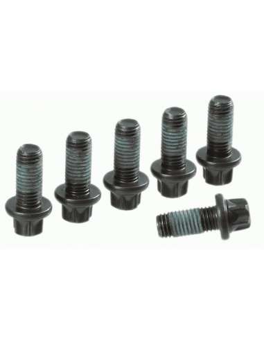 JKuego tornillos, volante Sachs 1874 000 065 - SACHS KIT TORNILLOS V. B