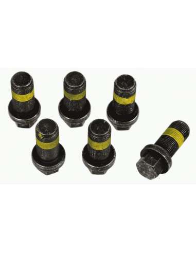 JKuego tornillos, volante Sachs 1874 000 069 - SACHS KIT TORNILLOS V. B