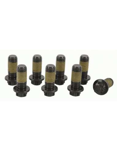 JKuego tornillos, volante Sachs 1874 000 072 - SACHS KIT TORNILLOS V. B