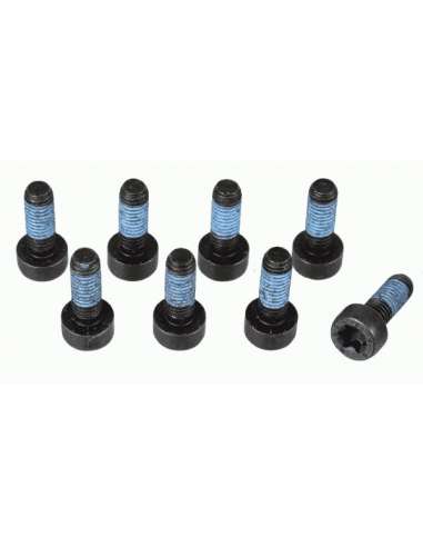 JKuego tornillos, volante Sachs 1874 000 073 - SACHS KIT TORNILLOS V. B