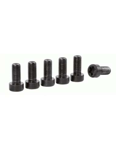 Juego de tornillos, embrague Sachs 1874 000 074 - SACHS KIT TORNILLOS V. B