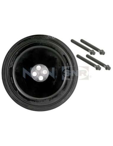 Polea, cigüeñal Snr DPF350.04K1 - DPF350.04K1 Kits dampers