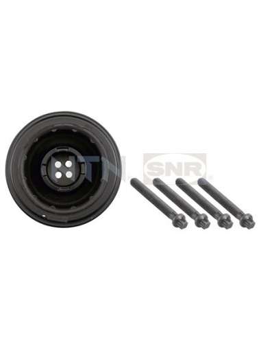 Polea, cigüeñal Snr DPF350.06K1 - DPF350.06K1 Kits dampers